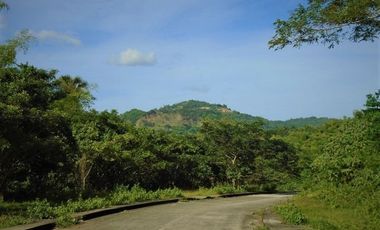 MOST AFFORDABLE 168 SQM Lot for Sale in Greenwoods Subdivision near Talamban Cebu City
