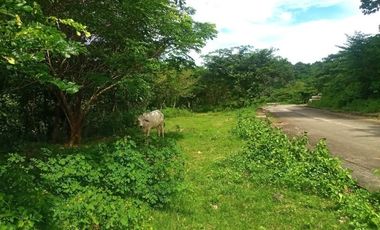 MOST AFFORDABLE 168 SQM Lot for Sale in Greenwoods Subdivision near Talamban Cebu City