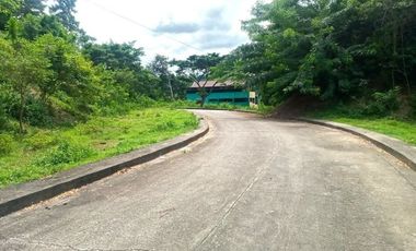 MOST AFFORDABLE 168 SQM Lot for Sale in Greenwoods Subdivision near Talamban Cebu City