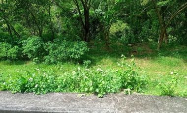 MOST AFFORDABLE 168 SQM Lot for Sale in Greenwoods Subdivision near Talamban Cebu City