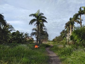 Dijual cepat Tanah industri dekat akses toll di Serang Raya