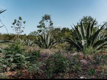 Rancho en Venta en zona Oriente del estado de Yucatán.
