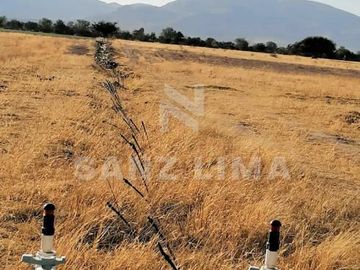 SAN FELIPE GTO.: ESPLENDIDO RANCHO CON POZO, SISTEMA DE RIEGO Y MANANTIAL.
