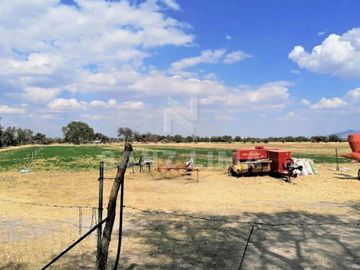 SAN FELIPE GTO.: ESPLENDIDO RANCHO CON POZO, SISTEMA DE RIEGO Y MANANTIAL.