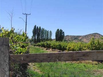 Parcelas planas con frutales a minutos de Santa Cruz