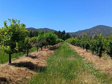 Parcelas planas con frutales a minutos de Santa Cruz
