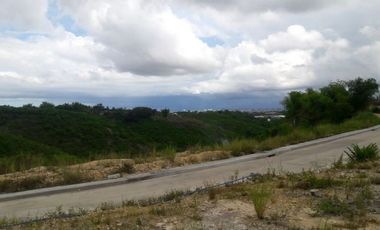 VERY FLAT LOT WITH AMAZINGLY OVERLOOKING VIEWS 314 SQM AT VISTA VERDE CONSOLACION CEBU