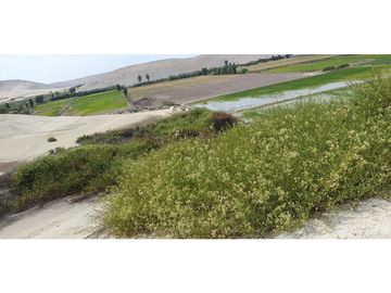 VENTA TERRENO AGRÍCOLA EN LA ENSENADA - MEJA