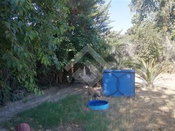Parcela en Venta en PALENA / ALICAHUE
