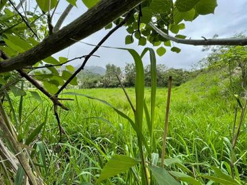 Vendo terreno en Vilcabamba