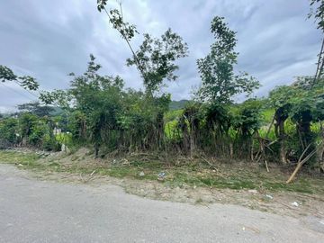 Vendo terreno en Vilcabamba