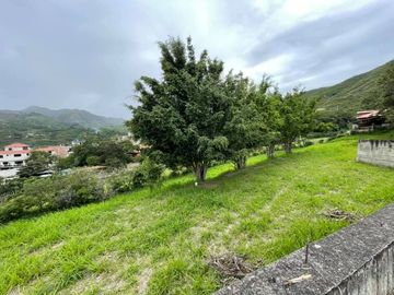 Vendo terreno en Vilcabamba