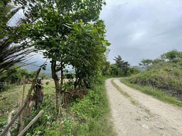 Vendo terreno en Vilcabamba