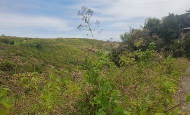 Cheapest 100 Sqm Ready for building Lot for Sale in Consolacion Cebu