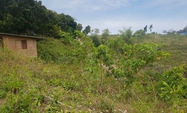 Cheapest 100 Sqm Ready for building Lot for Sale in Consolacion Cebu