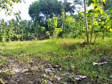 Tanah Dijual Kavling Banyuroto SHMP