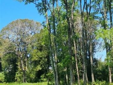 Parcelas a 2 minutos del Lago Rupanco, acceso a Rio