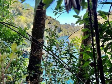 Parcelas a 2 minutos del Lago Rupanco, acceso a Rio