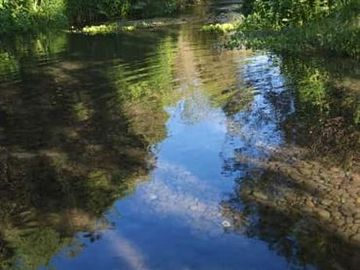 Parcelas a 2 minutos del Lago Rupanco, acceso a Rio