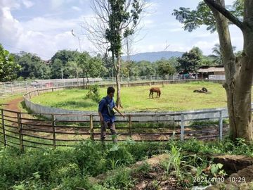 Cari Rumah 2 Lantai di Bogor? Disini Aja Yuk!