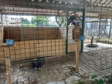 Cari Rumah 2 Lantai di Bogor? Disini Aja Yuk!