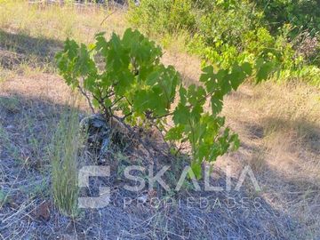 Venta Parcela 2.700 m2 sector Lucay a 45 Km de Concepcion.