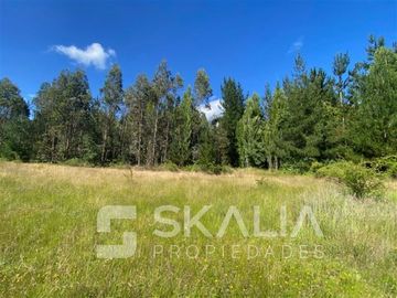 Venta Parcela 2.700 m2 sector Lucay a 45 Km de Concepcion.