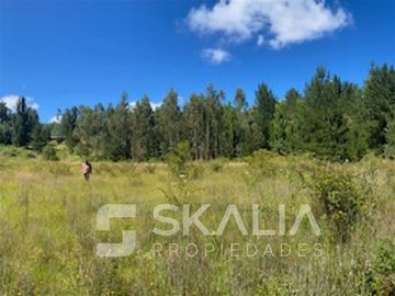 Venta Parcela 2.700 m2 sector Lucay a 45 Km de Concepcion.