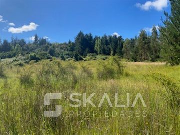 Venta Parcela 2.700 m2 sector Lucay a 45 Km de Concepcion.