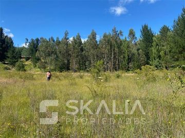 Venta Parcela 2.700 m2 sector Lucay a 45 Km de Concepcion.