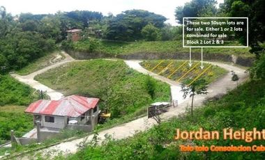 Cheapest Ready to Build 100 Sqm Lot for Sale in Tolotolo Consolacion Cebu