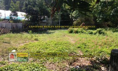 853 Sqm Titled Residential Lot for sale, Bacnotan, La Union (SOLD)
