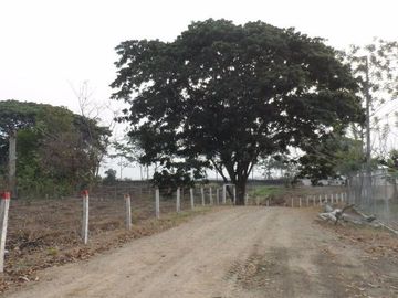 COLIMES, PROVINCIA DEL GUAYAS,HACIENDA - finca PARA GANADERIA 916 HAS