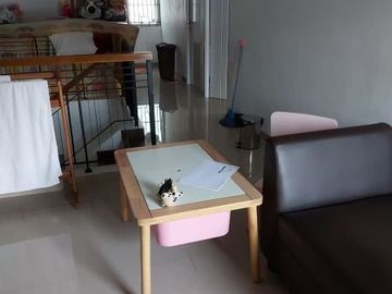 Dijual Rumah Cluster Naturale Foresta BSD City Tangerang Selatan Lokasi Strategis Murah Nyaman Gress Baru Renovasi