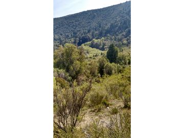 EN VENTA CAMPO DE 154 HECTREAS EN EL BOLSÓN CH-100
