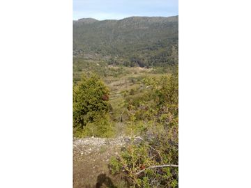 EN VENTA CAMPO DE 154 HECTREAS EN EL BOLSÓN CH-100