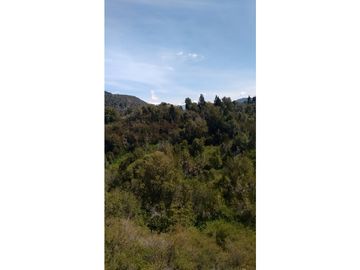 EN VENTA CAMPO DE 154 HECTREAS EN EL BOLSÓN CH-100
