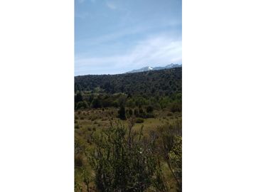 EN VENTA CAMPO DE 154 HECTREAS EN EL BOLSÓN CH-100