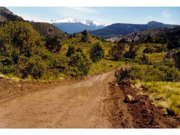 EN VENTA CAMPO DE 154 HECTREAS EN EL BOLSÓN CH-100