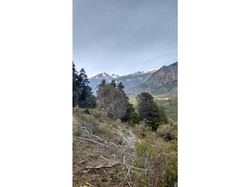 EN VENTA CAMPO DE 154 HECTREAS EN EL BOLSÓN CH-100