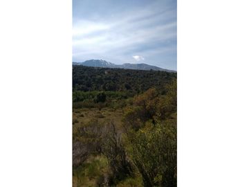 EN VENTA CAMPO DE 154 HECTREAS EN EL BOLSÓN CH-100