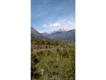 EN VENTA CAMPO DE 154 HECTREAS EN EL BOLSÓN CH-100