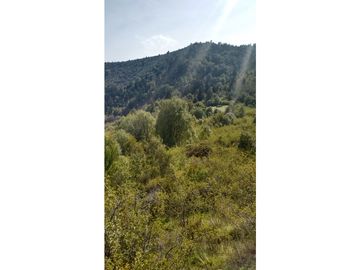 EN VENTA CAMPO DE 154 HECTREAS EN EL BOLSÓN CH-100