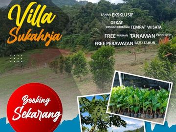 Pesona Villa Sukaharja - Kavling Kebun Produktif di Bogor Timur