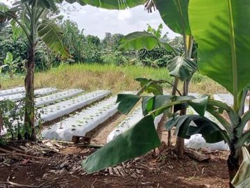 Tanah datar akses mobil diperkampungan Bojong Purwakarta