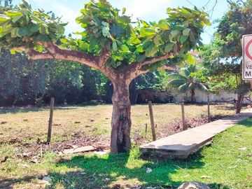 Terrenos Residenciales Venta JR. Nueva Luz de Fatima  - YARINACOCHA