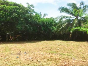 Terrenos Residenciales Venta JR. Nueva Luz de Fatima  - YARINACOCHA