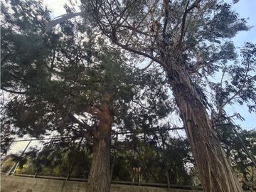 CURAUMA / PLACILLA / CALLE OCTAVA / TERRENO 900 M2