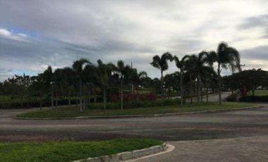 Land for Sale in Santa Rosa Laguna, South Lake Village near Nuvali, South Forbes, Greenfield, Paseo, Alabang