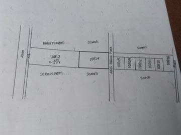 Tanah pekarangan cukup luas di kawasan premium Condongcatur